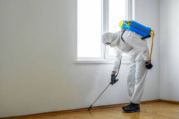 Best Pest Exclusion Services  in Crestwood, IL